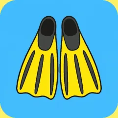 FB体育新闻：近期赛果与焦点动态